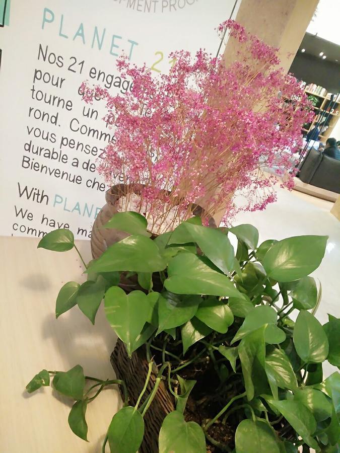 宜必思上海新虹桥店酒店 外观 照片